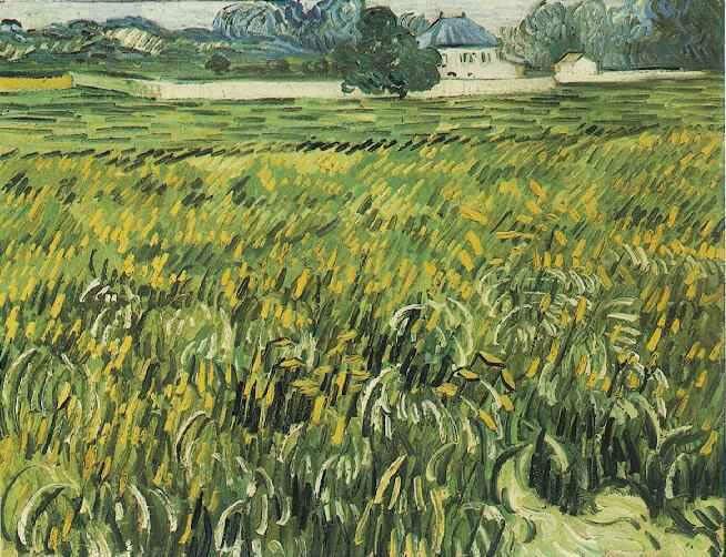 Vincent van Gogh Champ de bl et maison blanche 1890